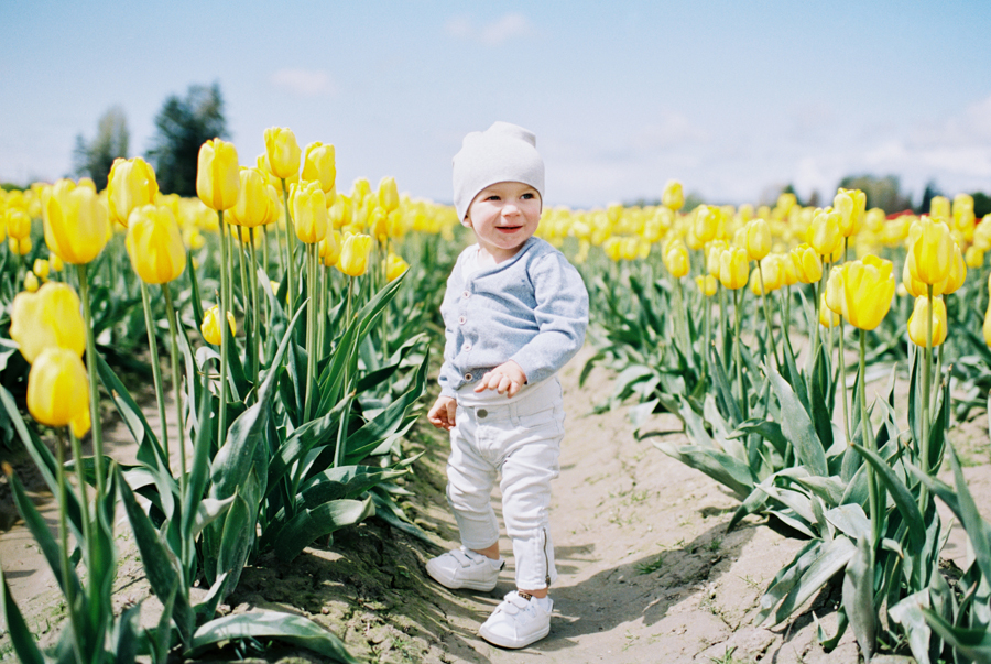 Baby-Tulip-Fields-WA-008