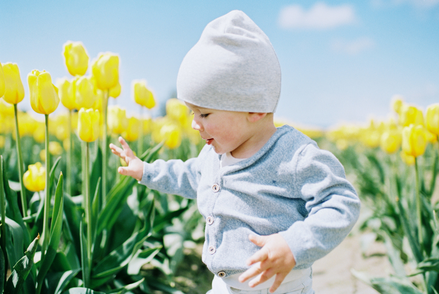 Baby-Tulip-Fields-WA-013