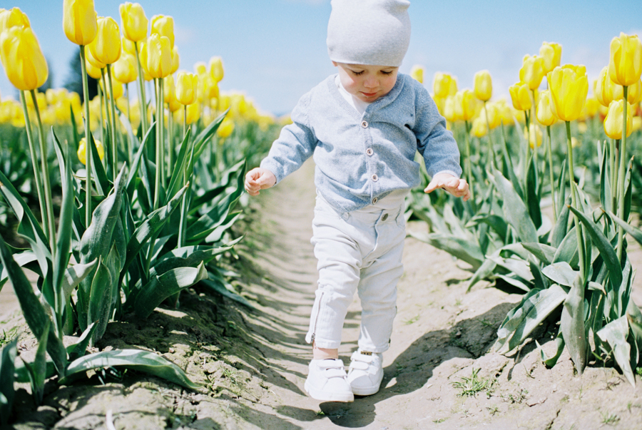 Baby-Tulip-Fields-WA-014