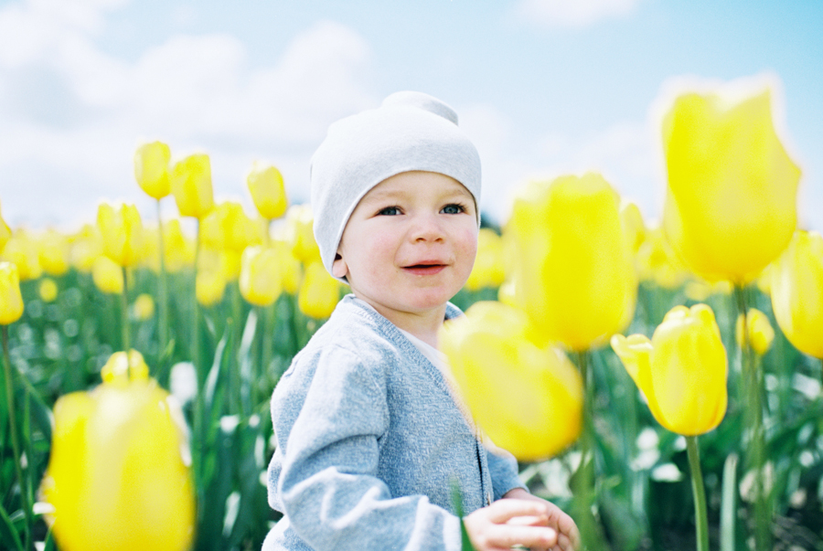 Baby-Tulip-Fields-WA-016