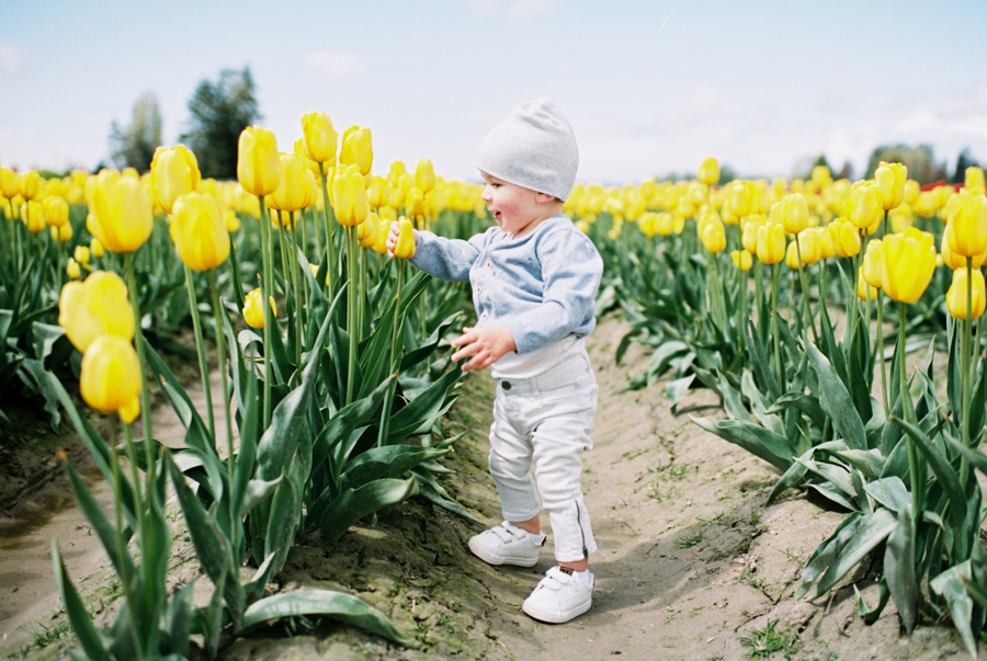 Skagit Valley Tulip Festival Photos on Film portra 160