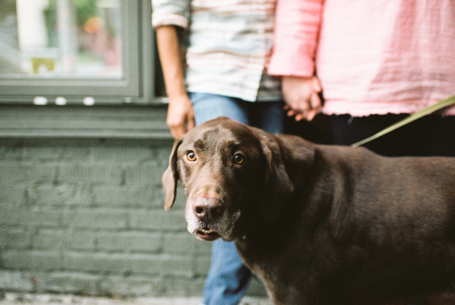 seattle-engagement-photos-film-dog037