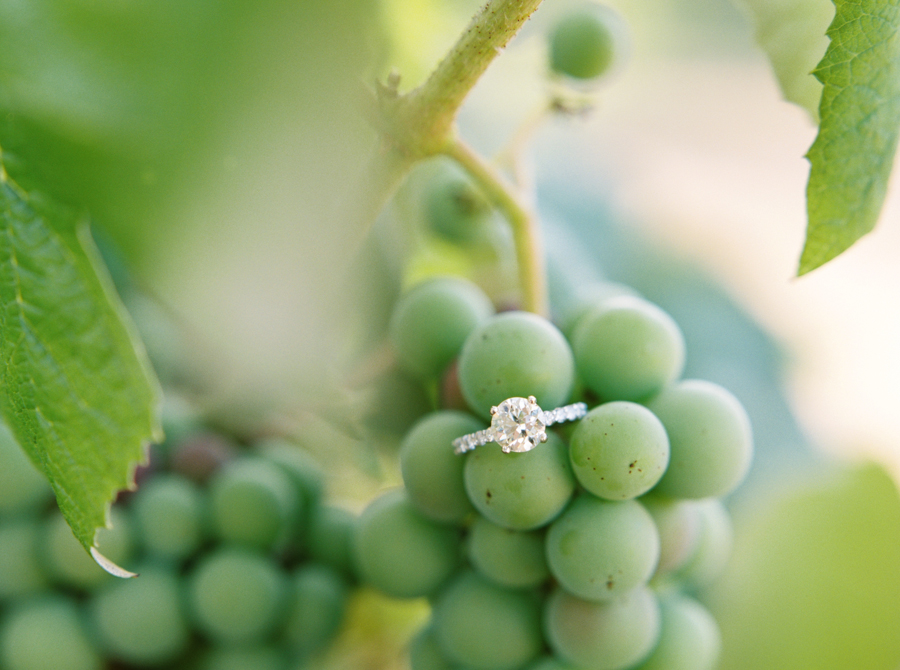 vineyard-engagement-photos-film0037