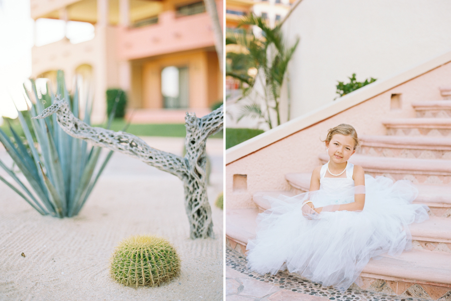 cabo-mexico-wedding-photographer-2024