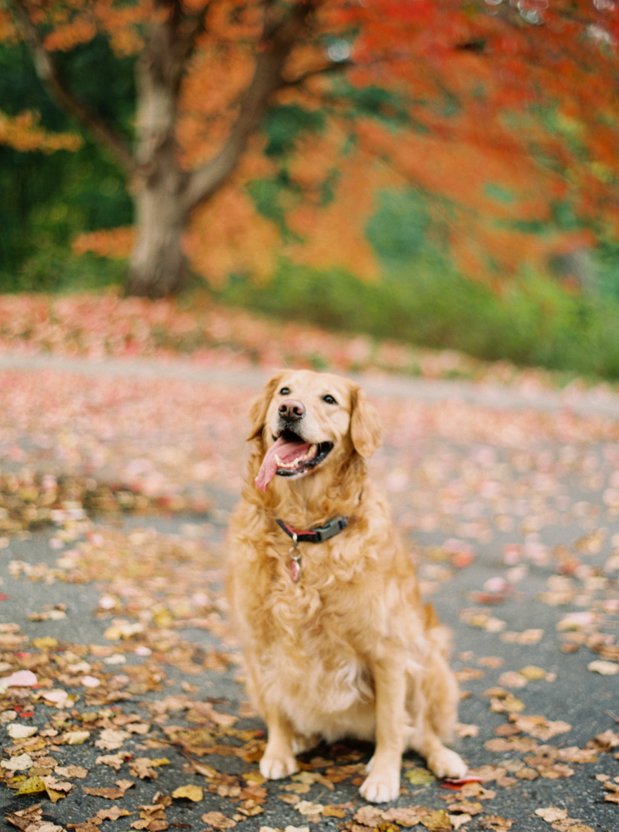 seattle-engagement-photos-007