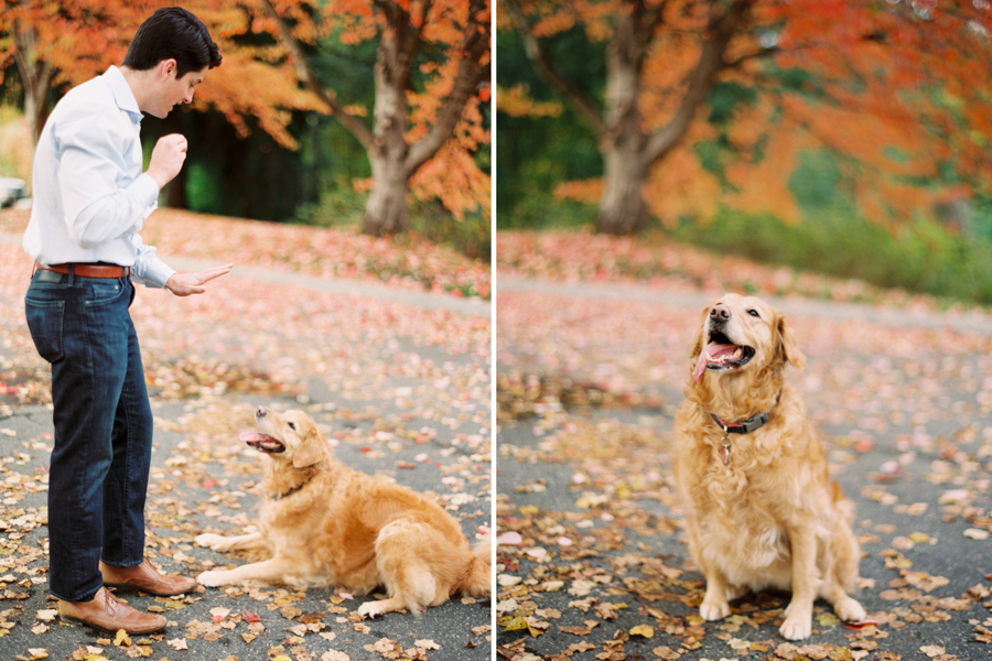 seattle-engagement-photos-502