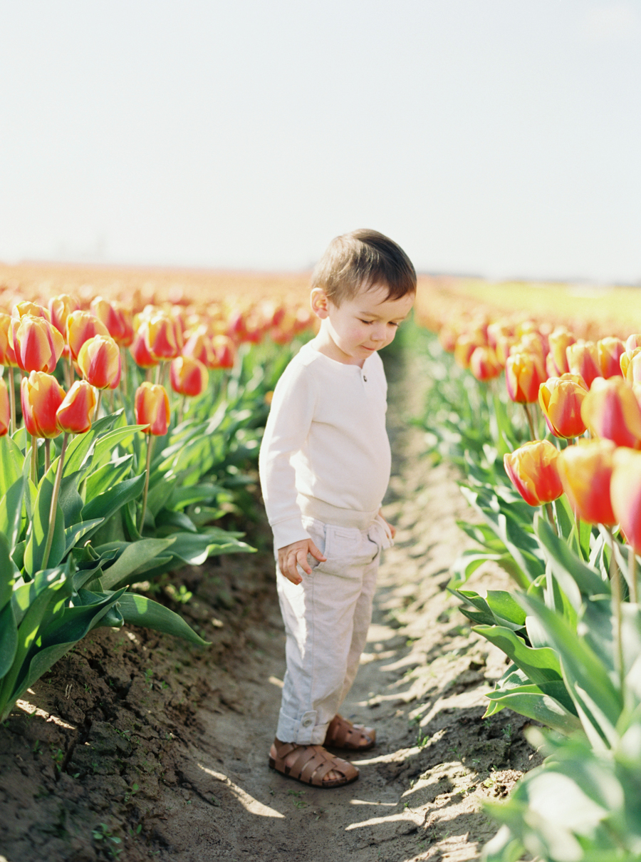 seattle-family-photographer-film-tulips-003