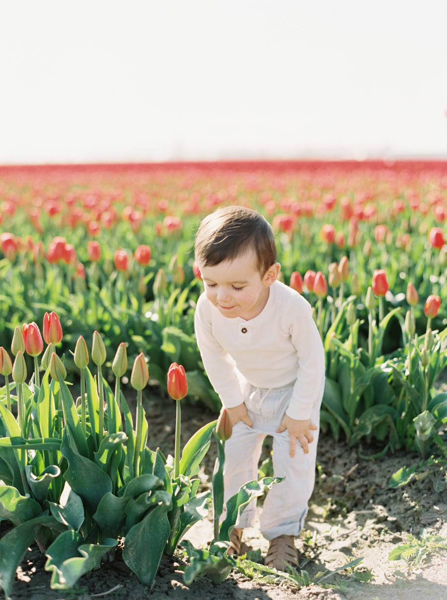 seattle-family-photographer-film-tulips-007