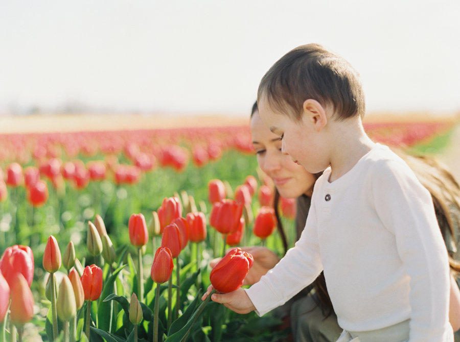 seattle-family-photographer-film-tulips-040