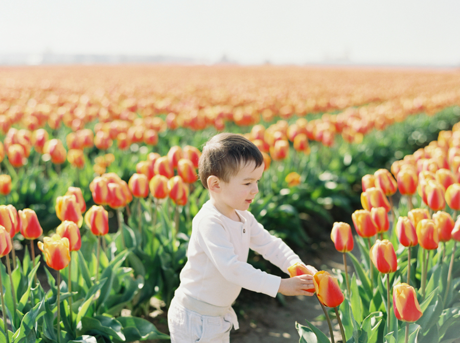 seattle-family-photographer-film-tulips-046