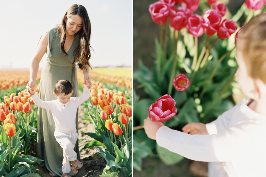 seattle-family-photographer-film-tulips-3000