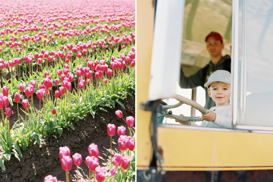 seattle-family-photographer-film-tulips-3002