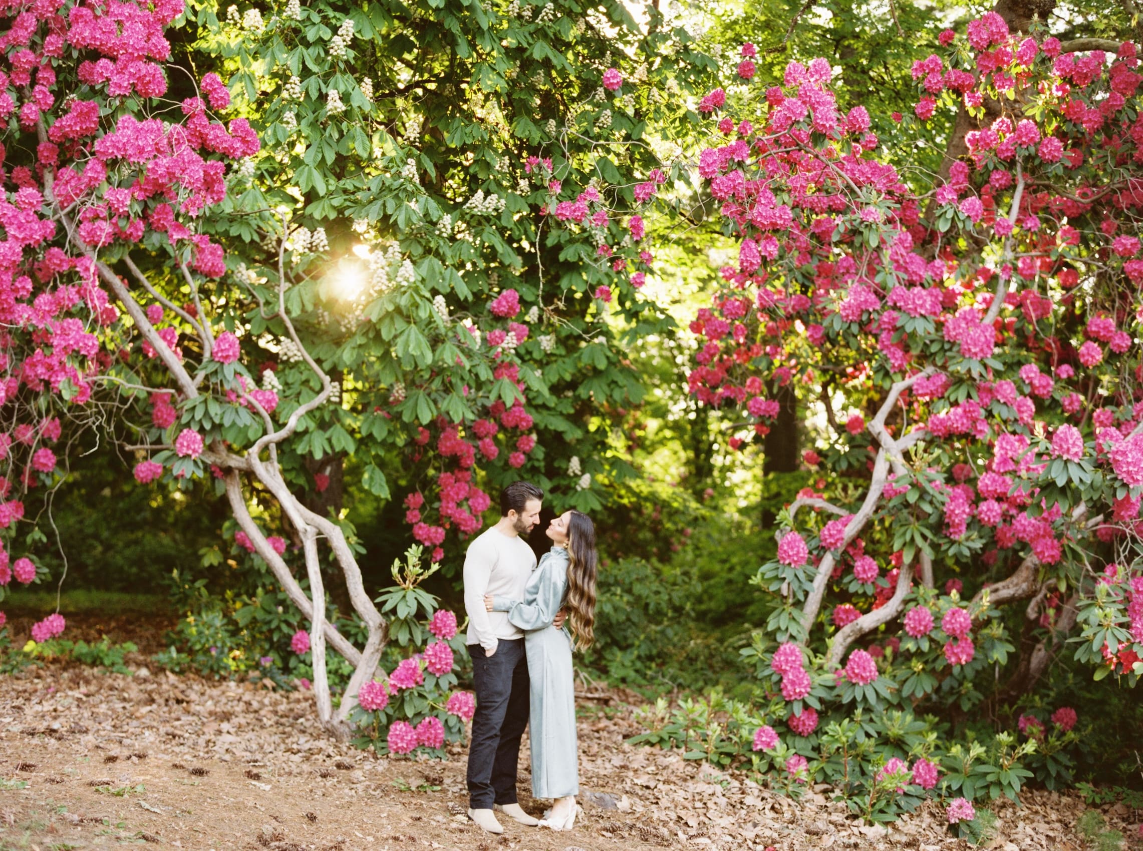 Couple embracing amidst blooming pink flowers in lush garden