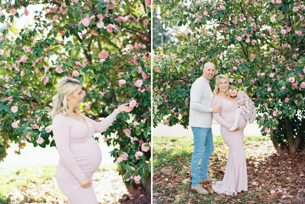 Seattle Maternity Photos