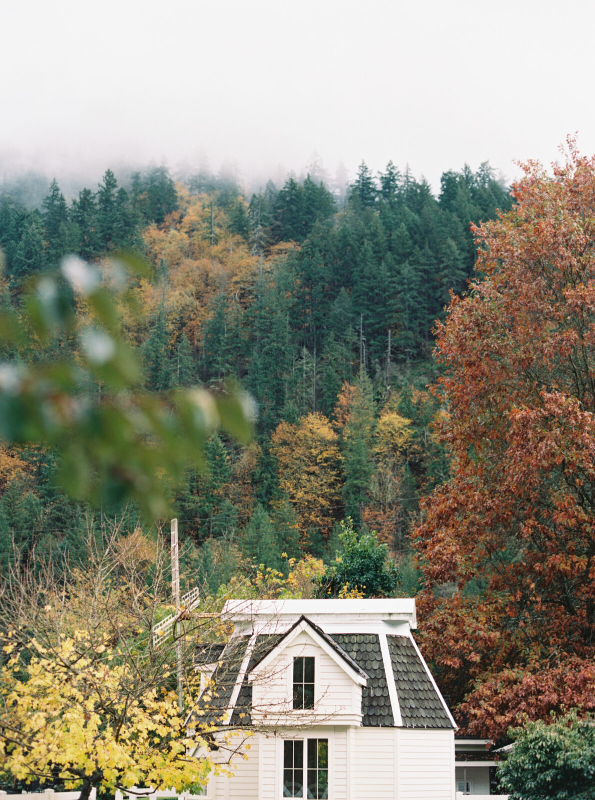 fox-hollow-farm-wedding-photography