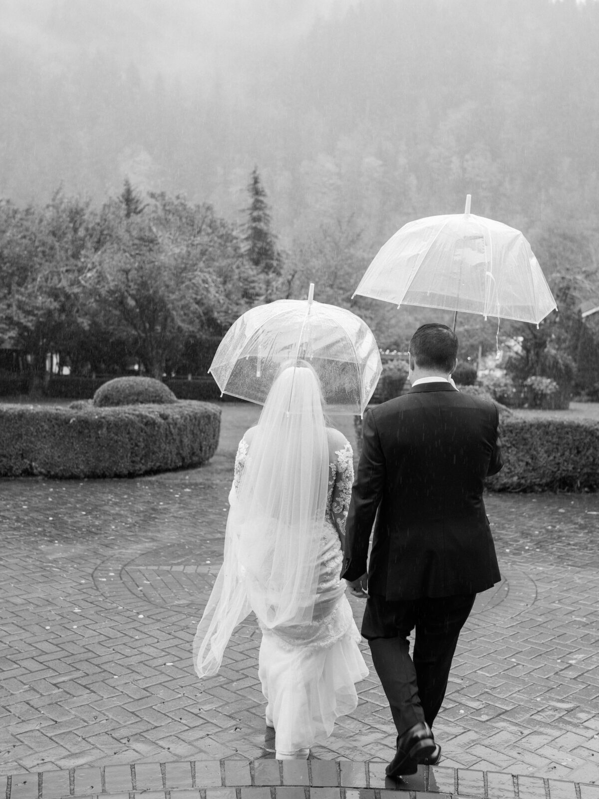 Fox-Hollow-Farm-Wedding rainy black and white photo of back of bride and groom