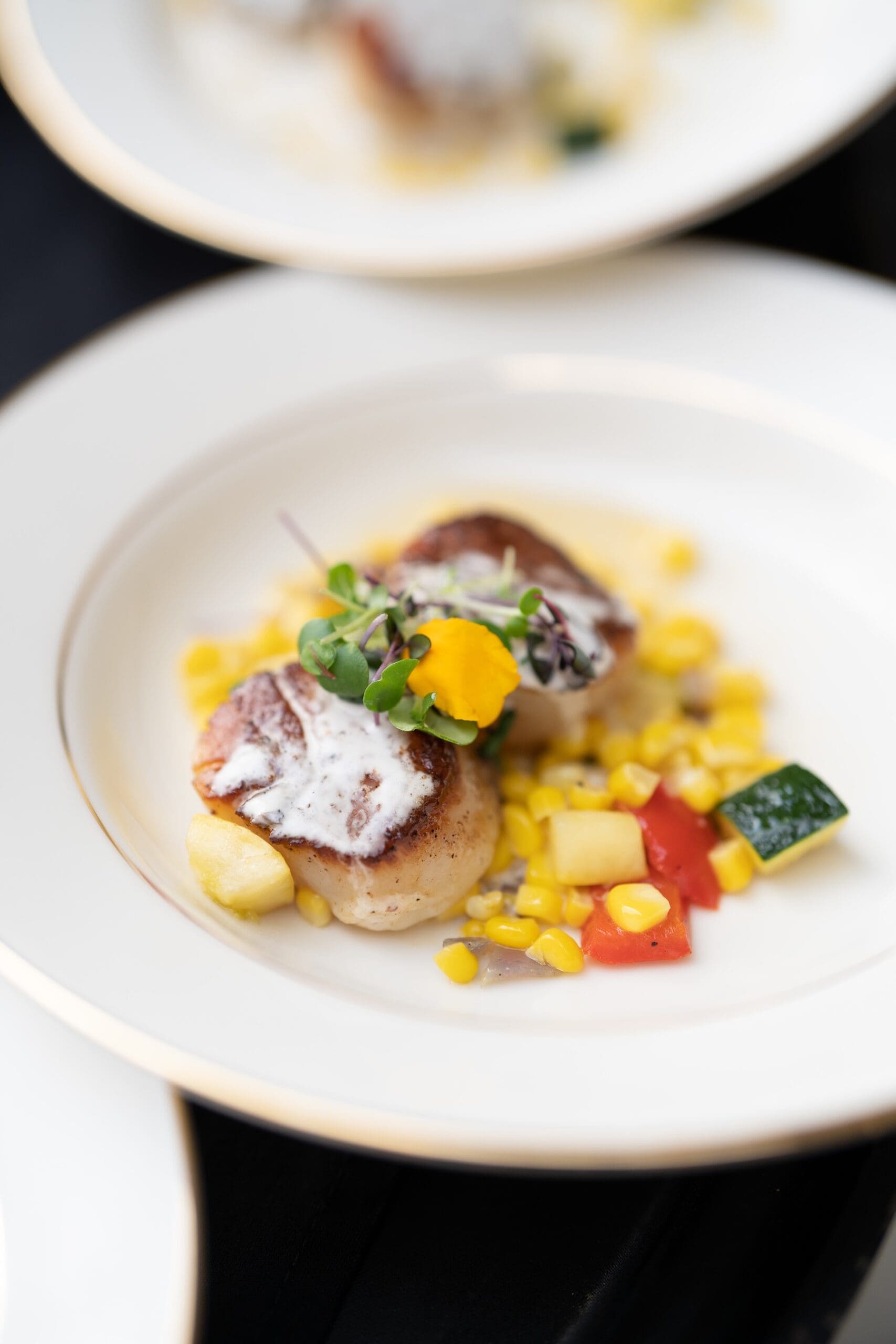 Gourmet scallops with corn zucchini garnish on elegant plate
